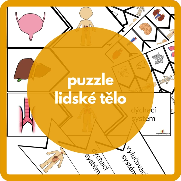 puzzle lidské tělo