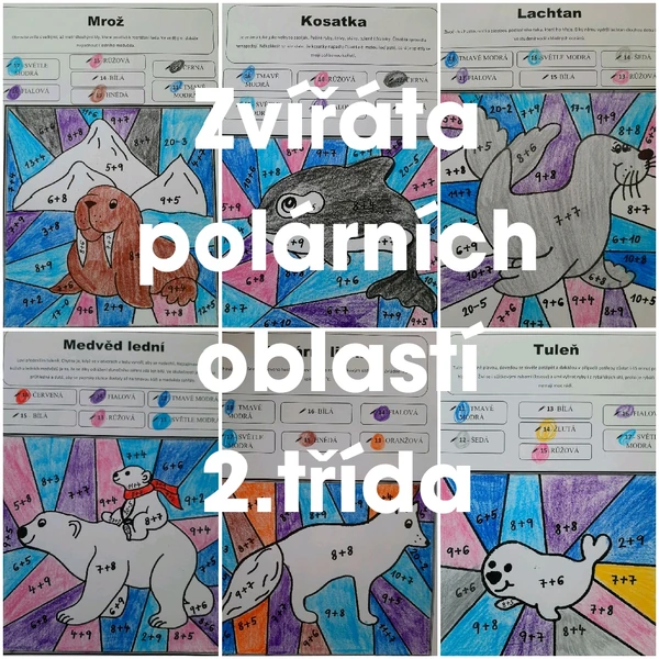 Zvířata polárních oblastí 2. třída matematika + - do 20 s přechodem přes desítku