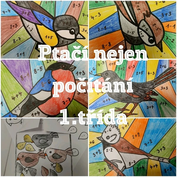 Ptačí nejen počítání 1. třída