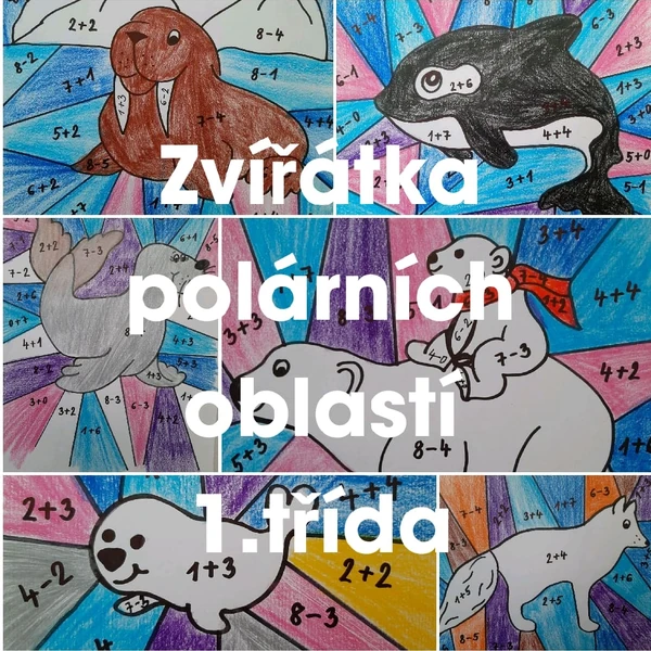 Polární zvířata 1. třída matematika + - do 8