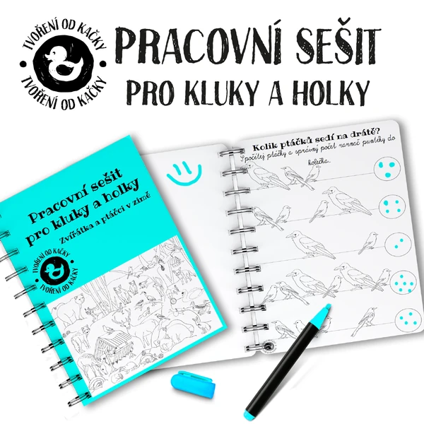 Pracovní sešit pro kluky a holky