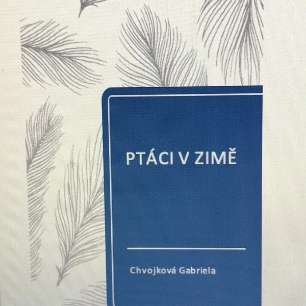 PTÁCI V ZIMĚ