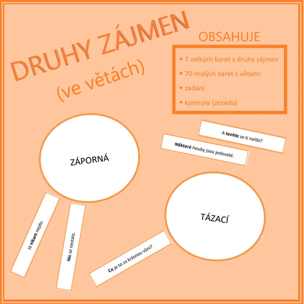 Druhy zájmen (ve větách)