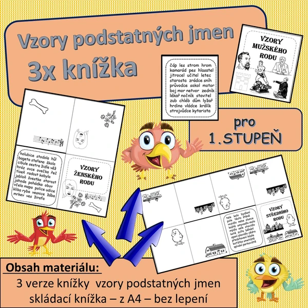 Knížka - vzory podstatných jmen