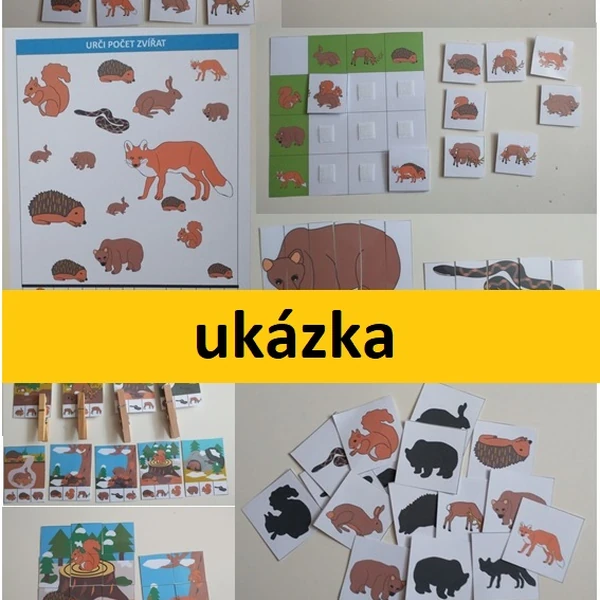 Lesní zvířata (sada aktivit v pdf)