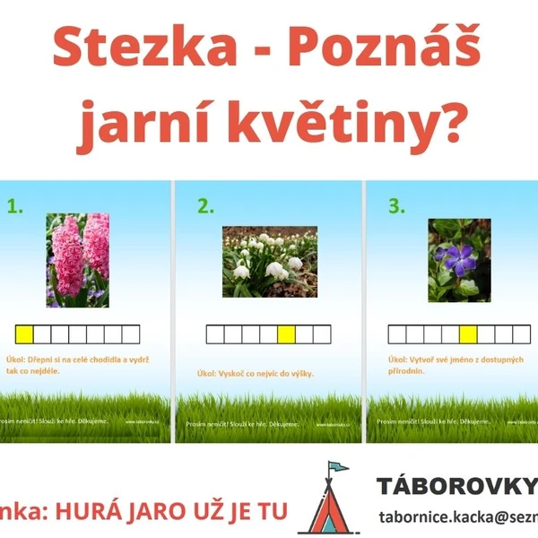Poznáš jarní květiny?