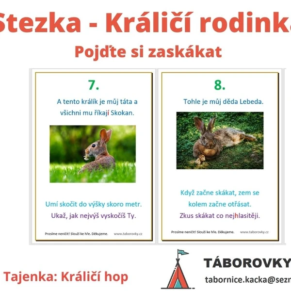 Stezka - Králičí rodina (pojďte si zaskákat)