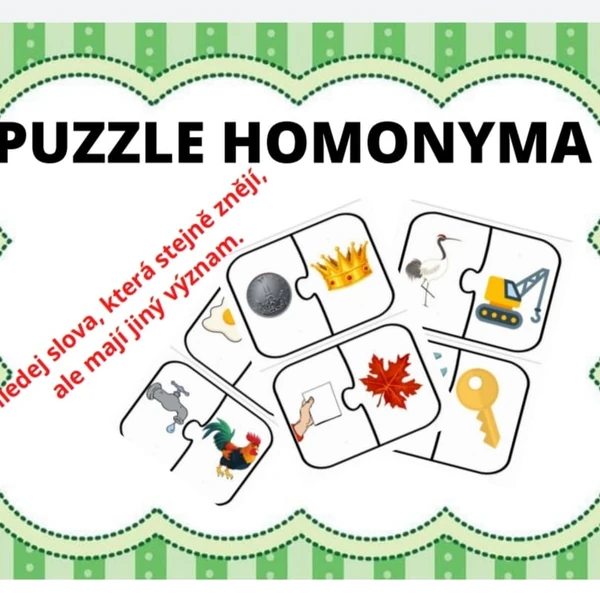 PUZZLE HOMONYMA