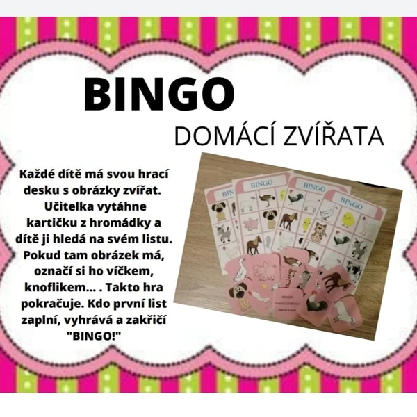 BINGO-domácí zvířátka