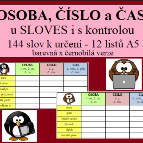 OSOBA, ČÍSLO a ČAS u SLOVES