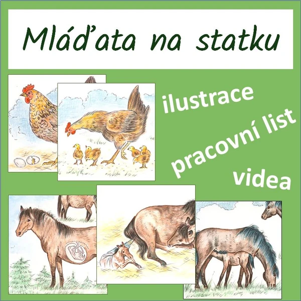 Mláďata na statku