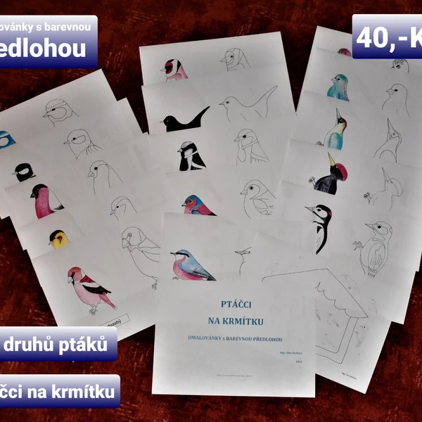Ptáčci na krmítku - omalovánky