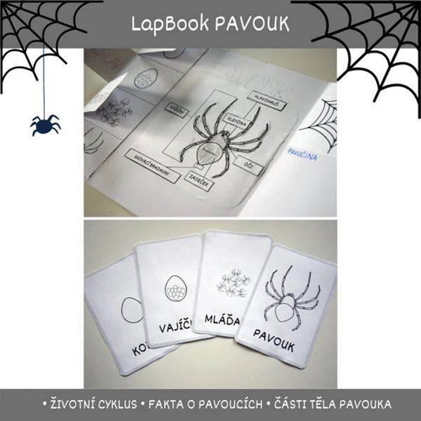 Lapbook PAVOUK - pdf podklady