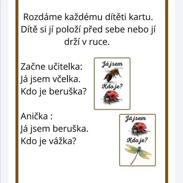 Karetní hra -Já jsem, kdo je - HMYZ A DROBNÍ ŽIVOČICHOVÉ