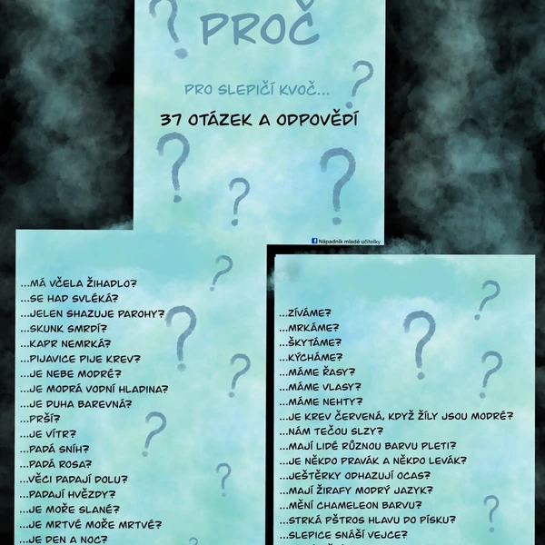Proč? Pro slepičí kvoč.