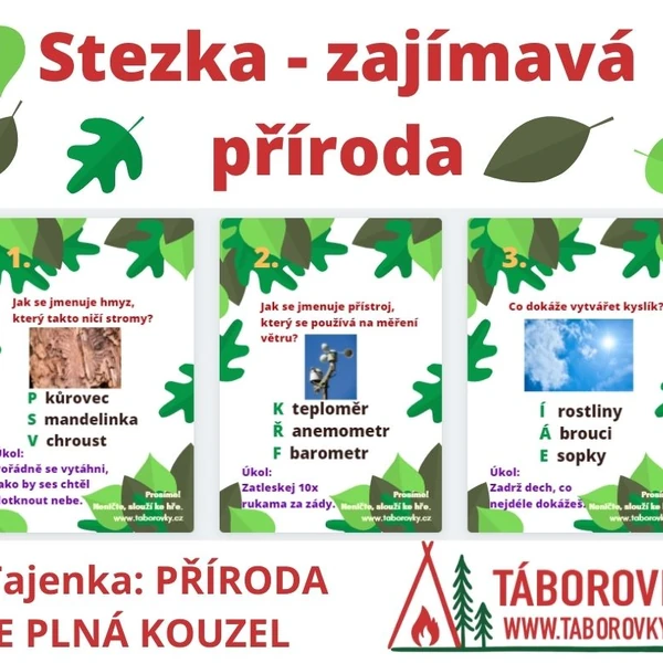 Stezka - zajímavá příroda