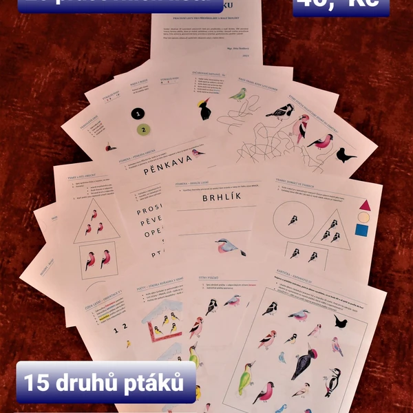 Ptáčci na krmítku - pracovní listy pro předškoláky a malé školáky