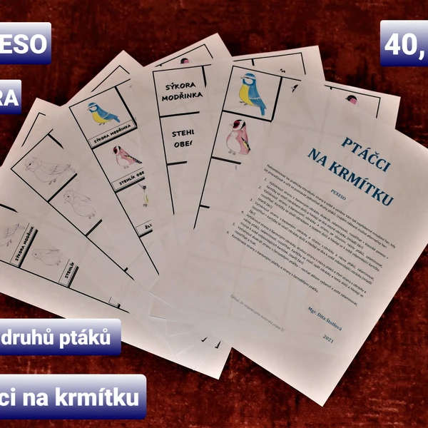 Ptáčci na krmítku - pexeso