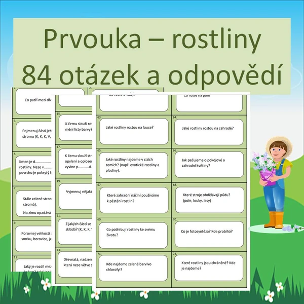 Prvouka - rostliny (otázky a odpovědi - kartičky)