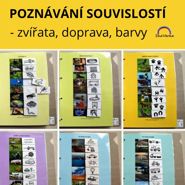 POZNÁVÁNÍ SOUVISLOSTÍ - zvířata, dopravní prostředky, barvy