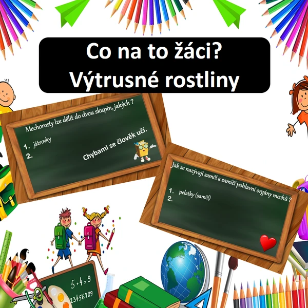 Co na to žáci? Výtrusné rostliny
