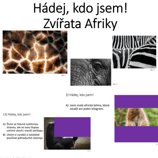 Hádej, kdo jsem! Zvířata Afriky