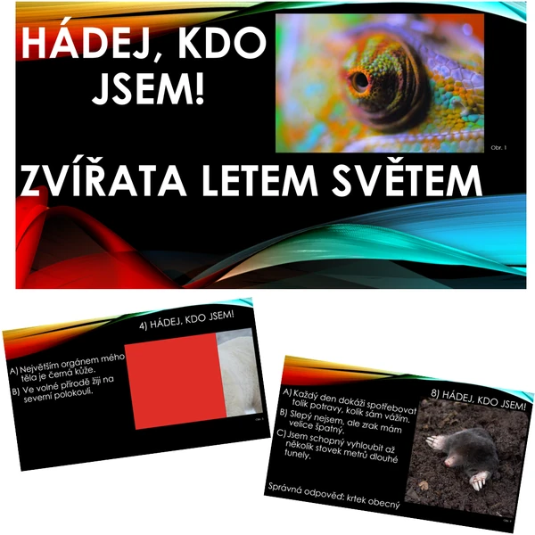 Hádej, kdo jsem! Zvířata letem světem