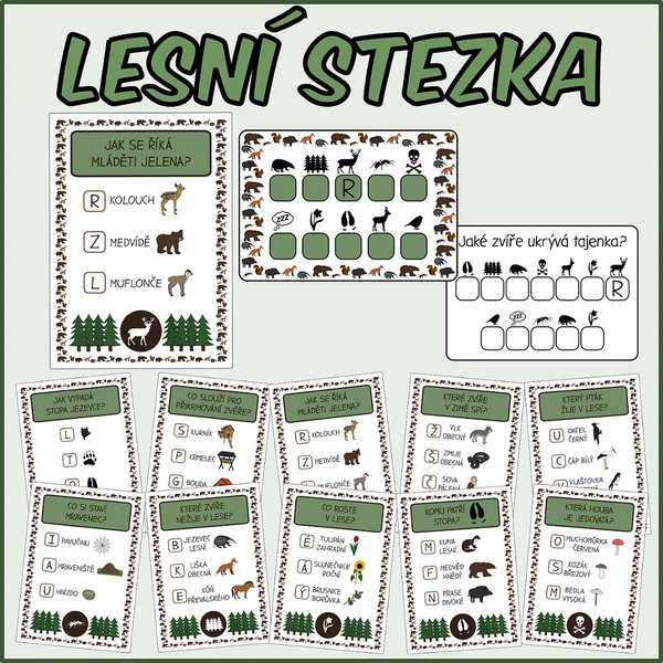Lesní stezka