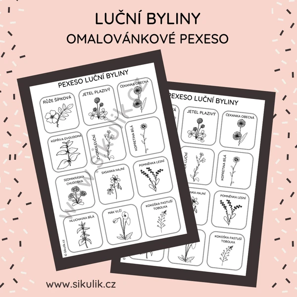 OMALOVÁNKOVÉ PEXESO luční byliny