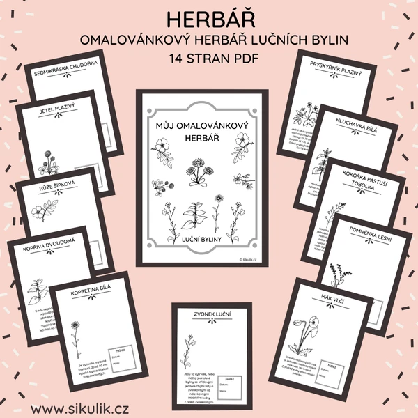 OMALOVÁNKOVÝ HERBÁŘ LUČNÍCH ROSTLIN
