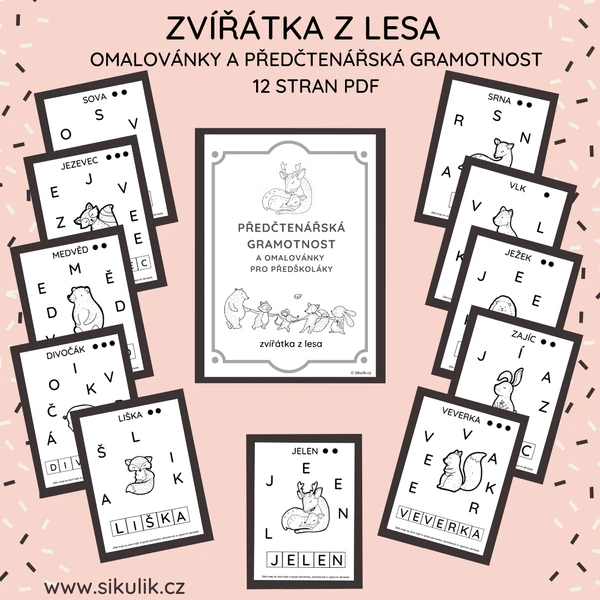 OMALOVÁNKY+ PŘEDČTENÁŘSKÁ GRAMOTNOST ZVÍŘÁTKA Z LESA