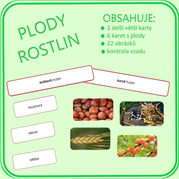 Plody rostlin