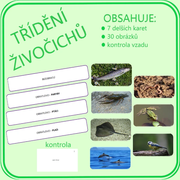 Třídění živočichů - bezobratlí, obratlovci (paryby, ryby, obojživelníci, plazi, ptáci, savci) 