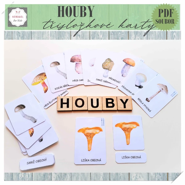 TŘÍSLOŽKOVÉ KARTY HOUBY