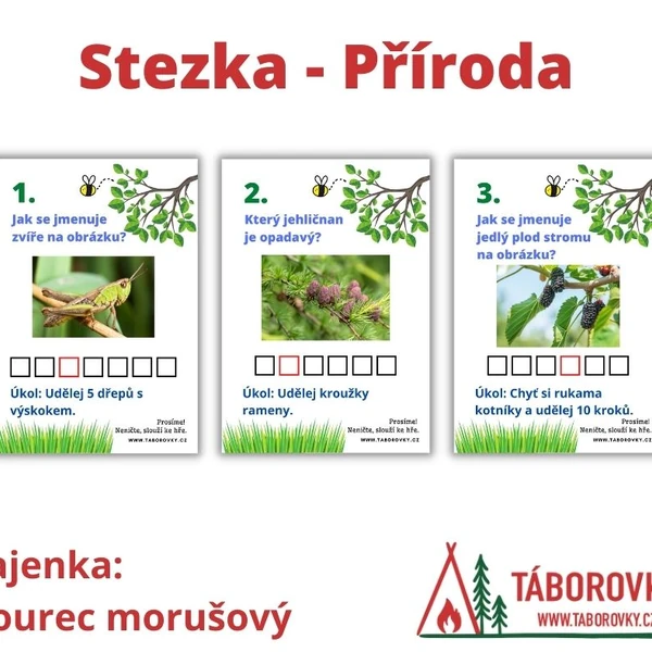 Stezka - příroda