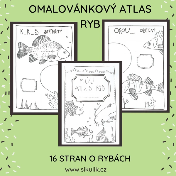 Omalovánkový Atlas Ryb