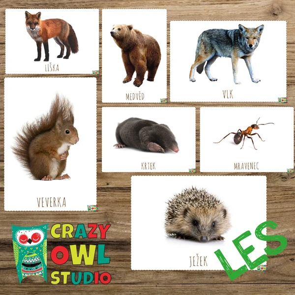 LES – demonstrační obrázky