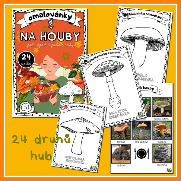 OMALOVÁNKY " NA HOUBY" :-) - 24 DRUHŮ HUB