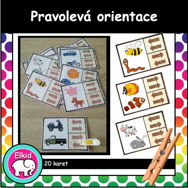 Pravolevá orientace