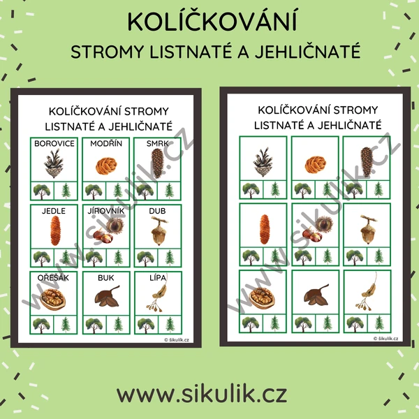KOLÍČKOVÁNÍ PLODY STROMŮ