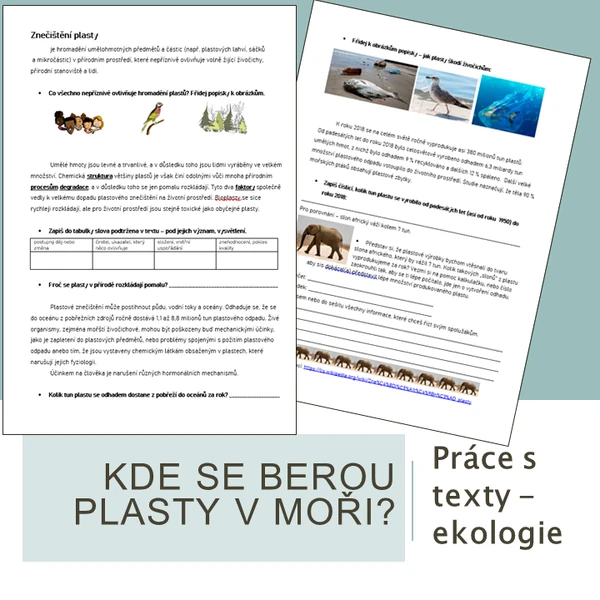 Kde se berou plasty v moři?