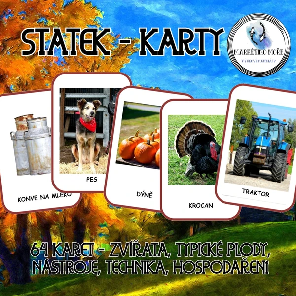 Statek - Karty