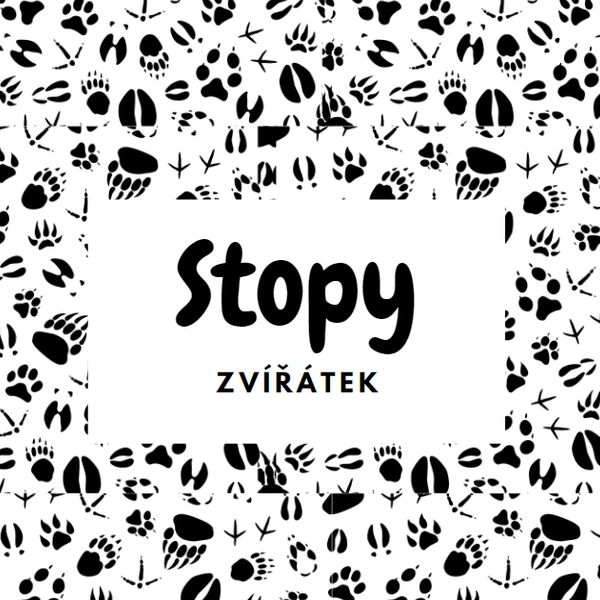 Stopy zvířátek