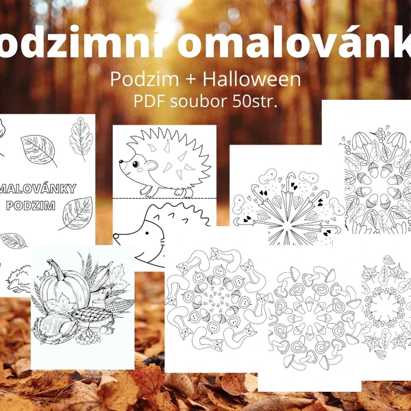 Podzimní omalovánky