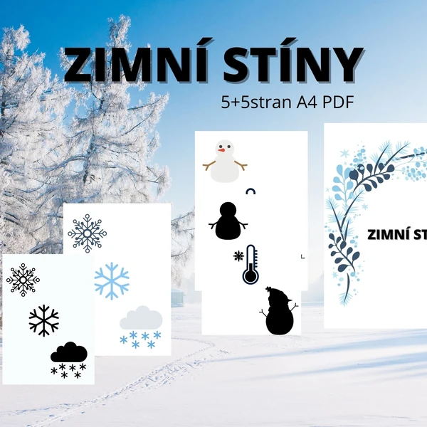 Zimní stíny