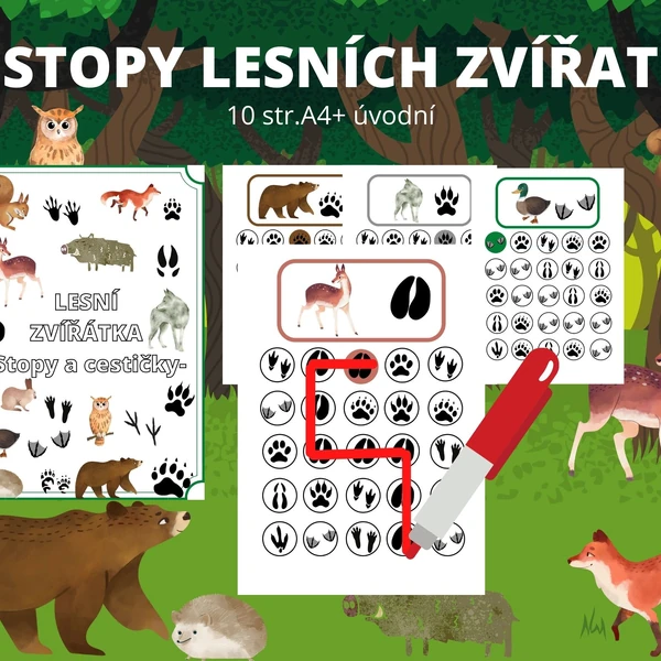 Stopy lesních zvířat