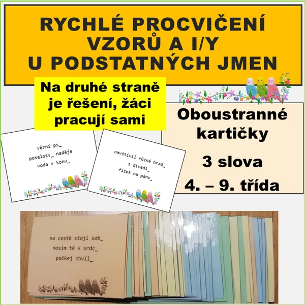Rychlé procvičení vzorů + i/y podstatných jmen