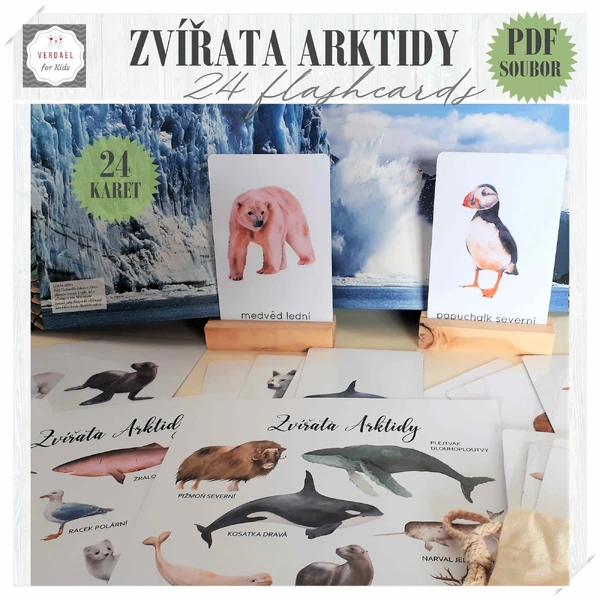 ZVÍŘATA ARKTIDY