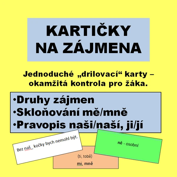 Kartičky na zájmena - druhy, pravopis