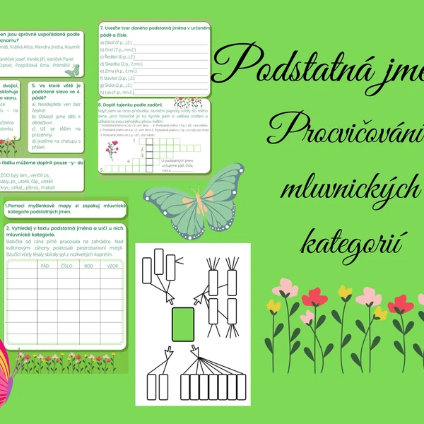 Podstatná jména - procvičování mluvnických kategorií 